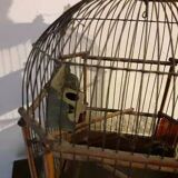 Old bird cage