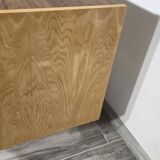 Vintage Wooden Sideboard by Frantisek Mezulanik, 1960