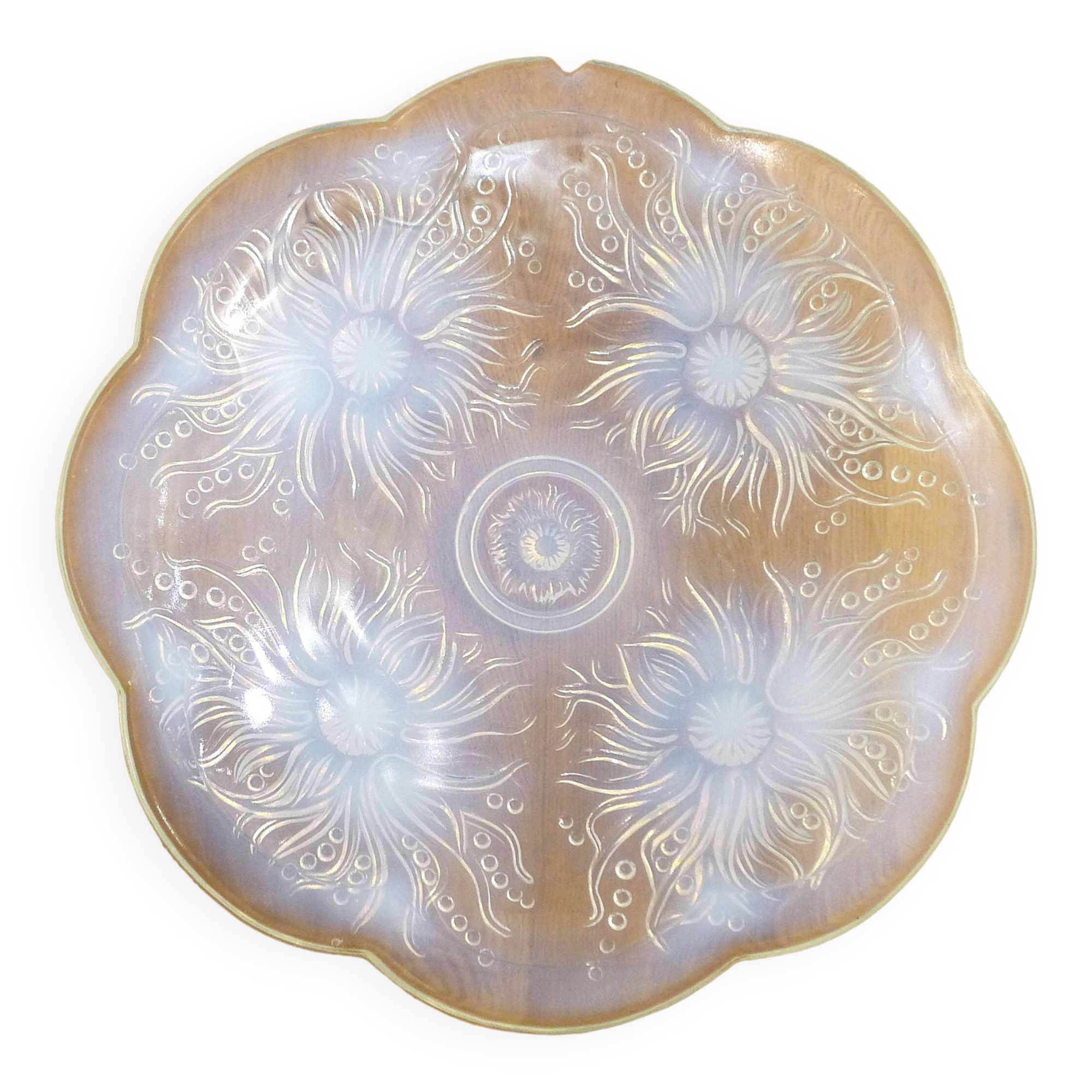 Plat coupe opalescente