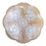 Plat coupe opalescente