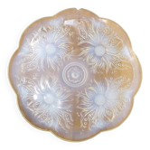 Plat coupe opalescente