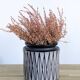 West German ceramic cache-pot — geometric sgraffito, Cologne, 1960s