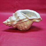 Empty cup vintage pocket shell shape conch conch shell iridescent white