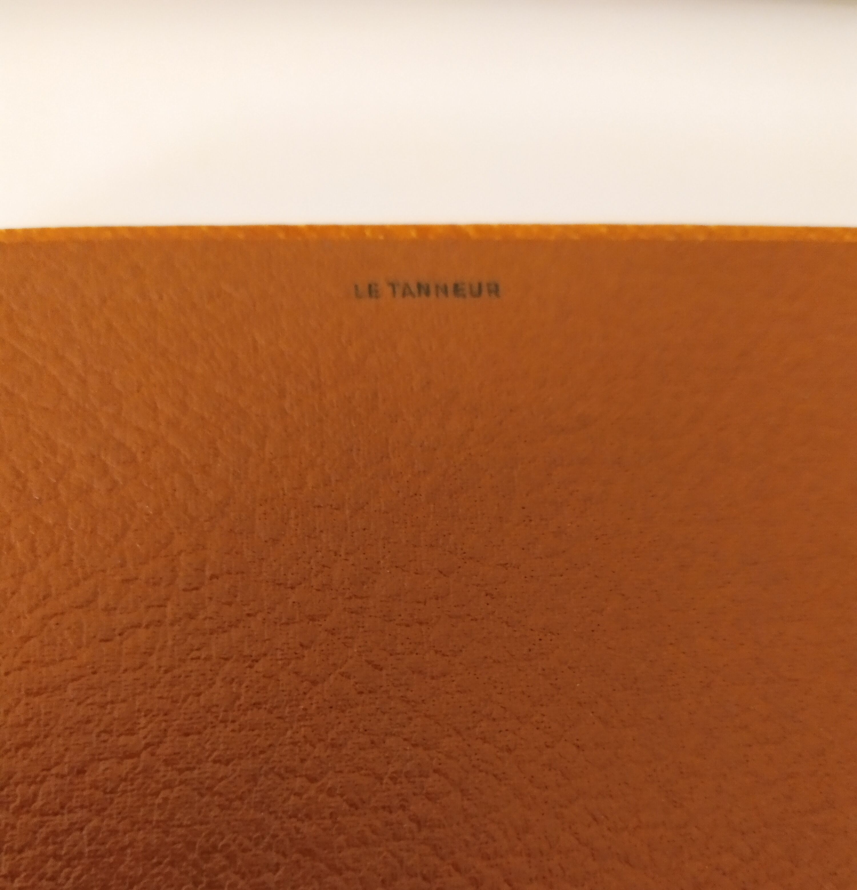 Antique leather box the tanner