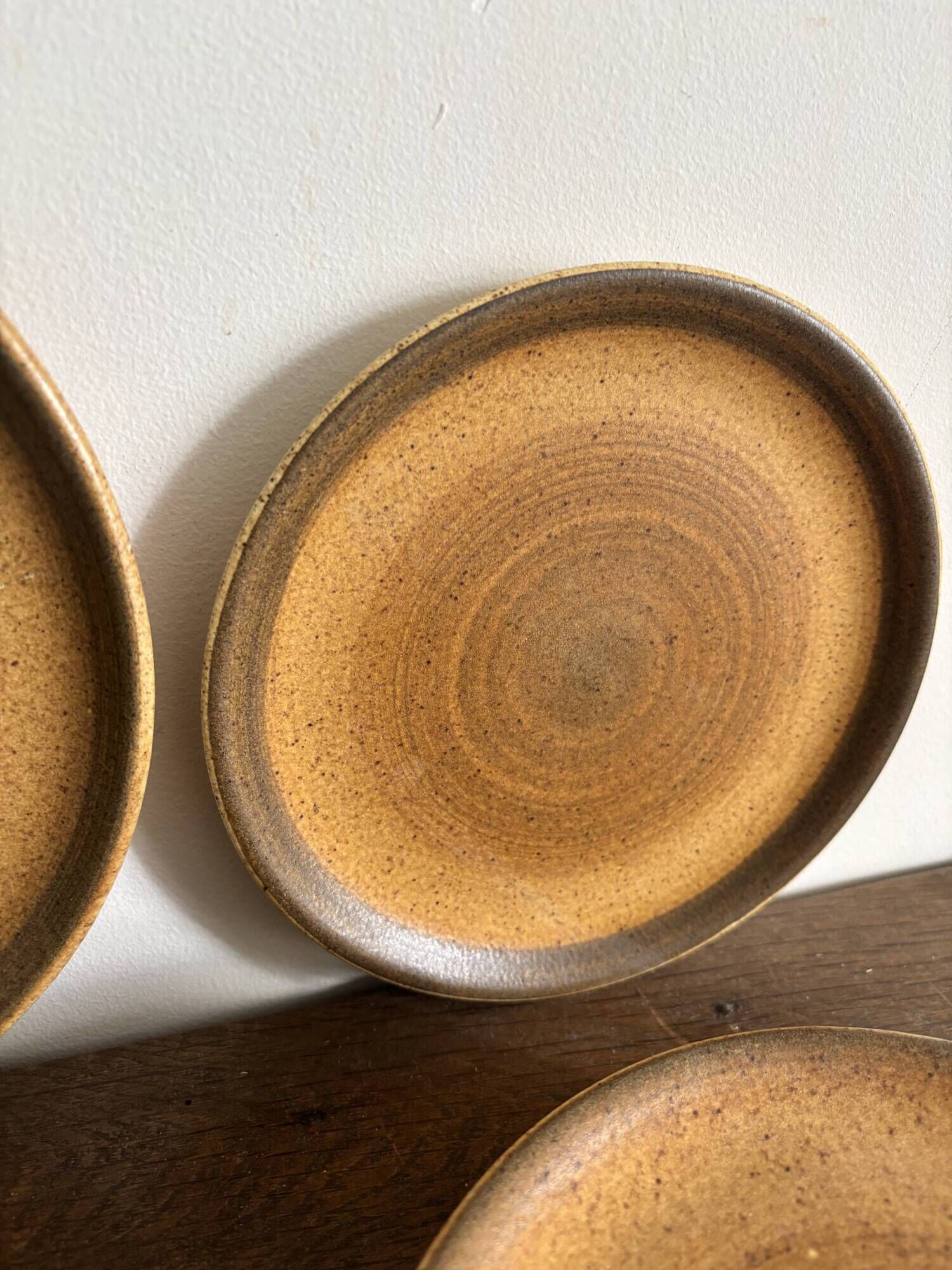 Service of 15 vintage Longchamp plates in stoneware.