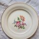 Lot of 6 plates Saint Amand