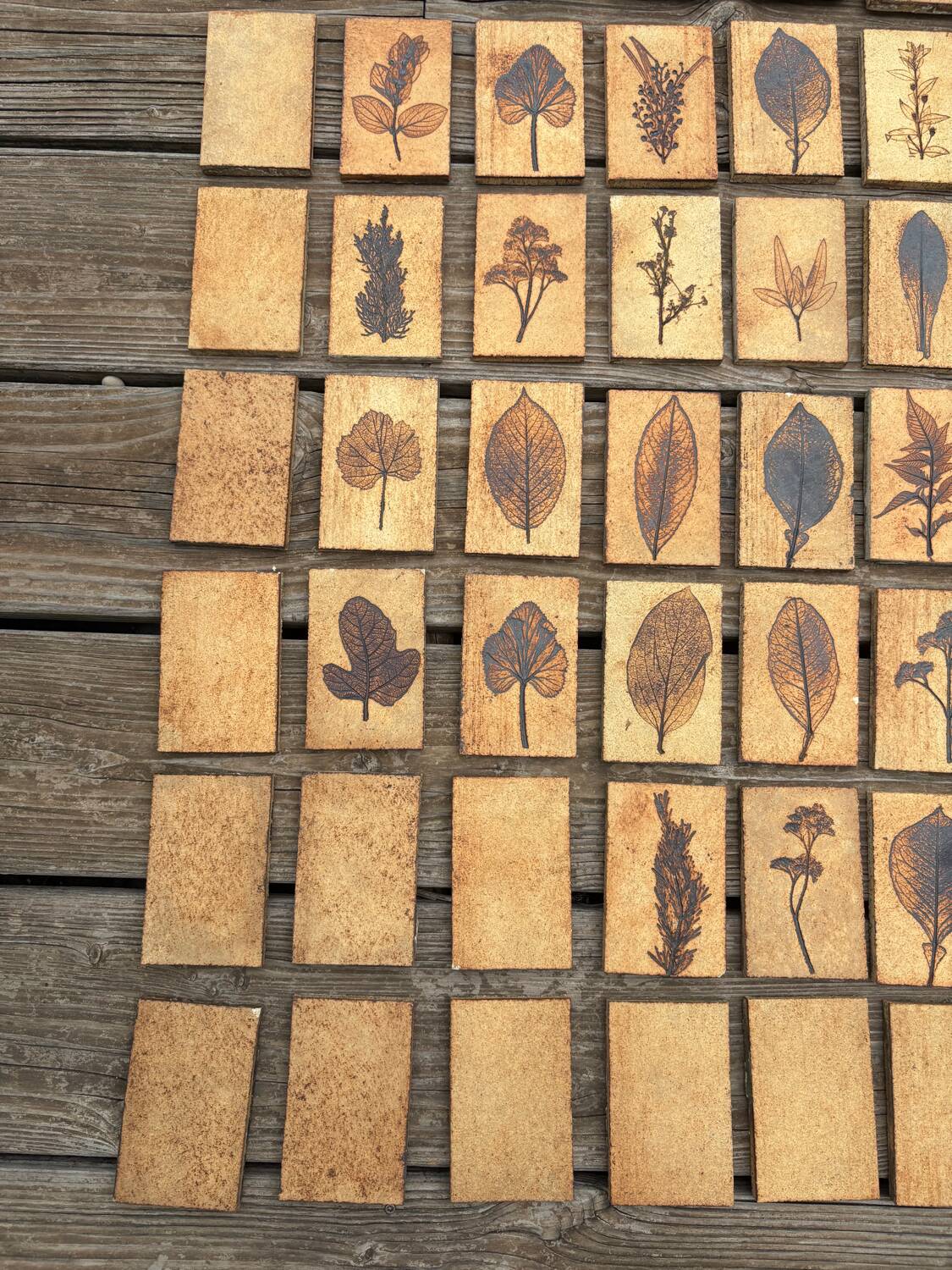 Set of 52 Vallauris herbarium tiles signed Capron