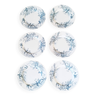 Lot de 6 assiettes plates en Faïence de Lunéville / Colibri