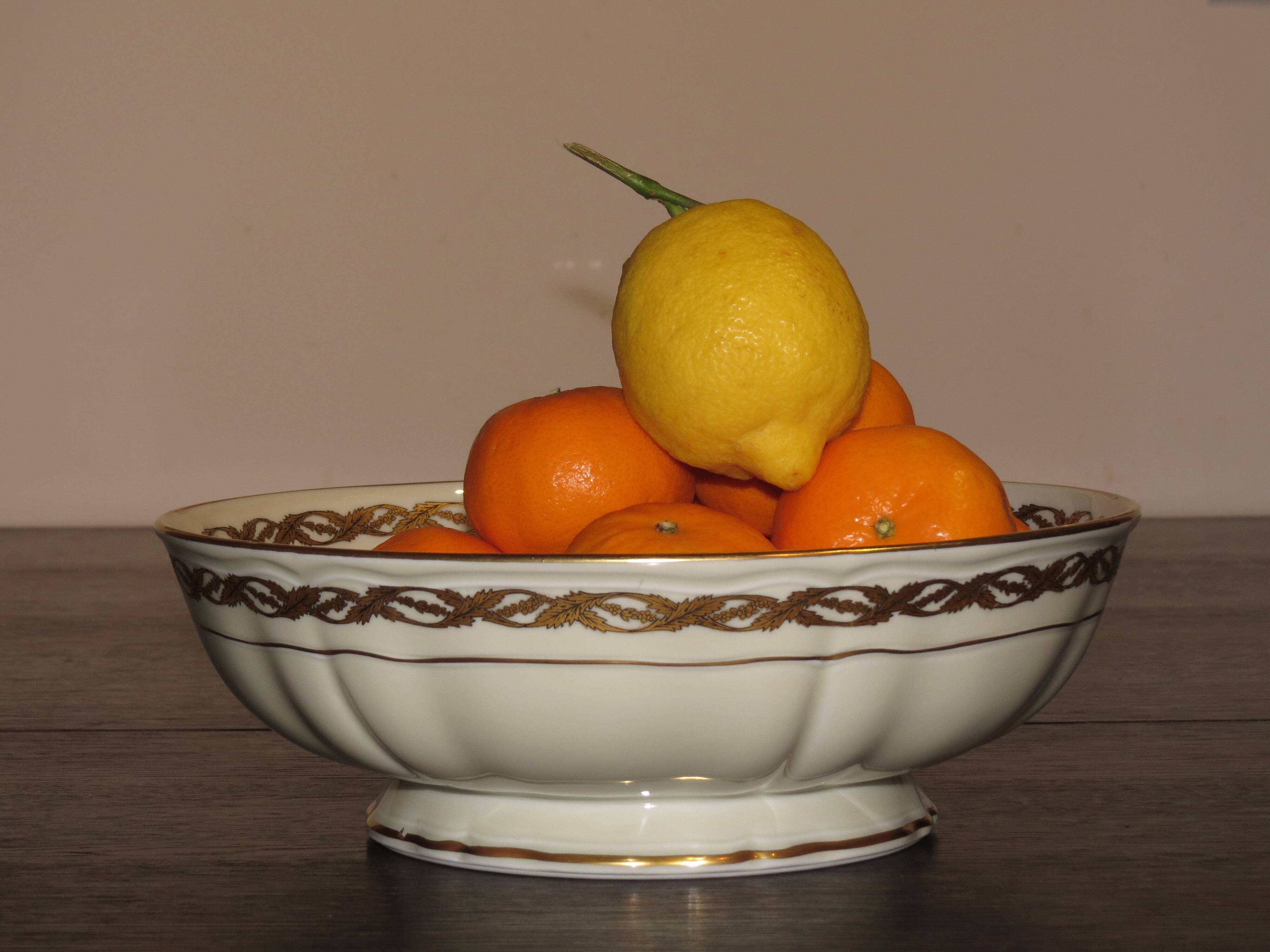 Bernardaud - noailles set of 10 plates and 2 dishes