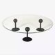 Pepper young coffee table by Starck, Disform, 1978