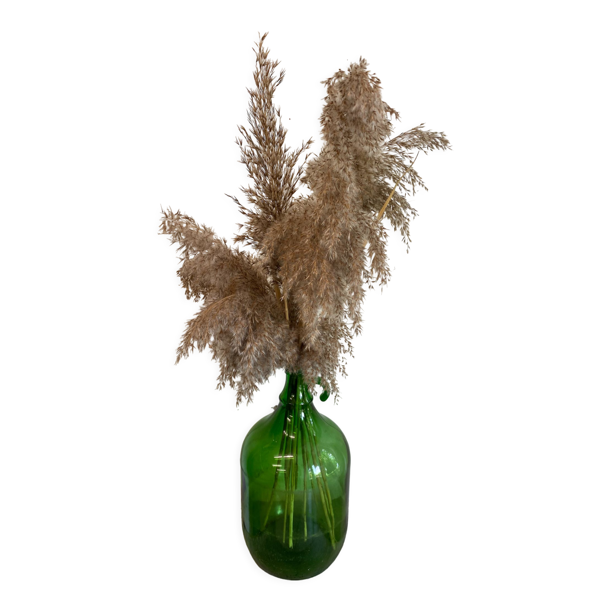 Green bottle