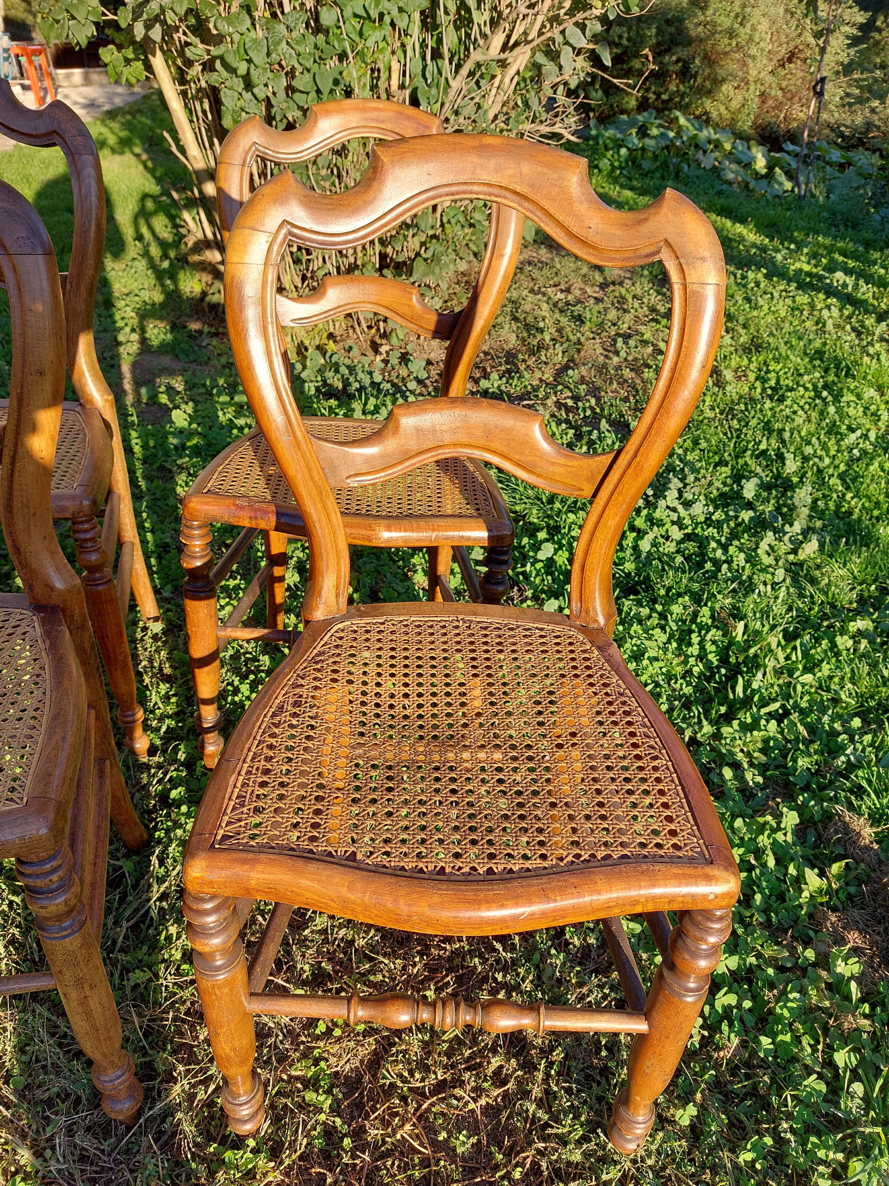 Lot of tanned chairs