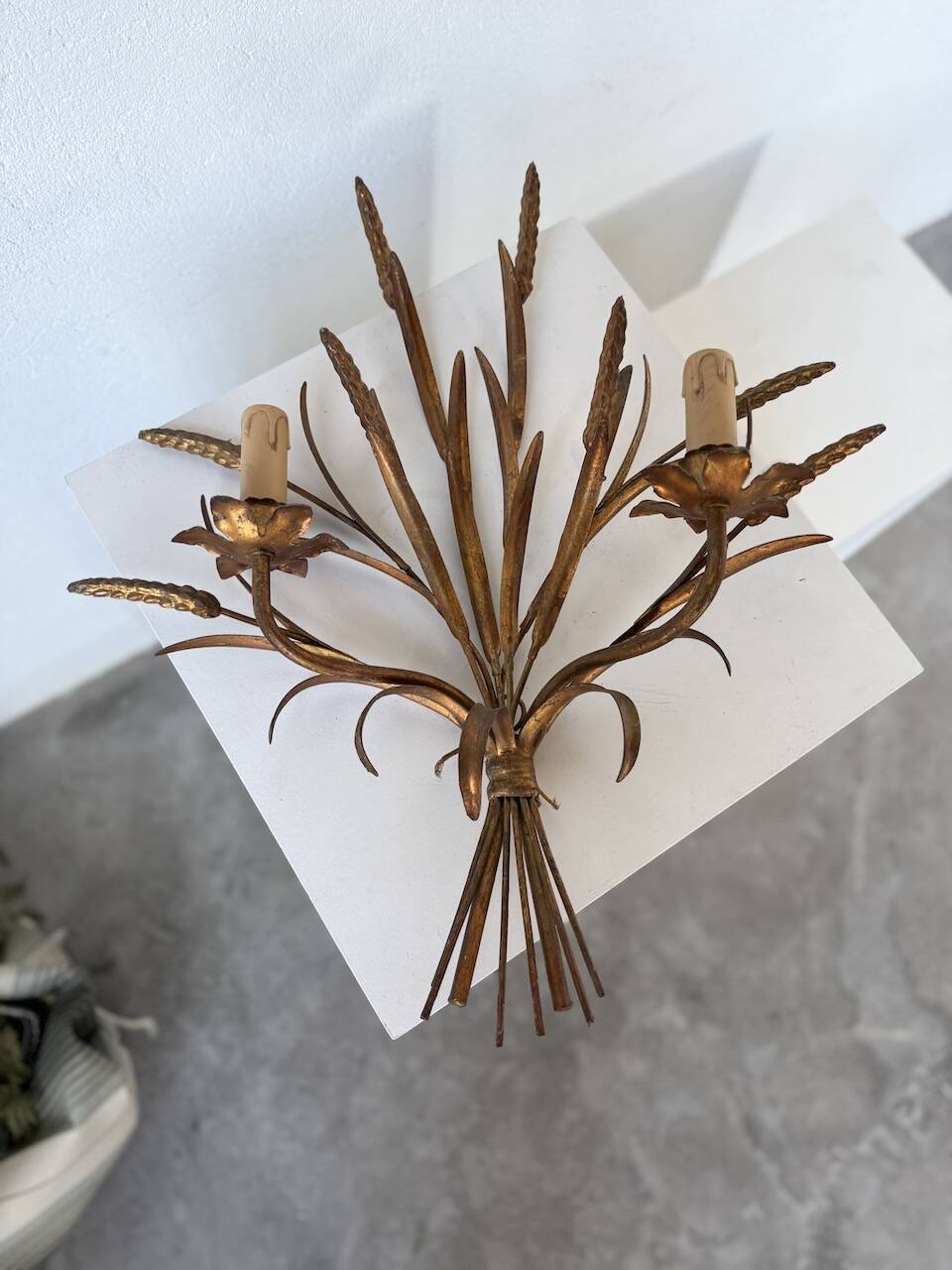 “Ear” wall light in gilded brass