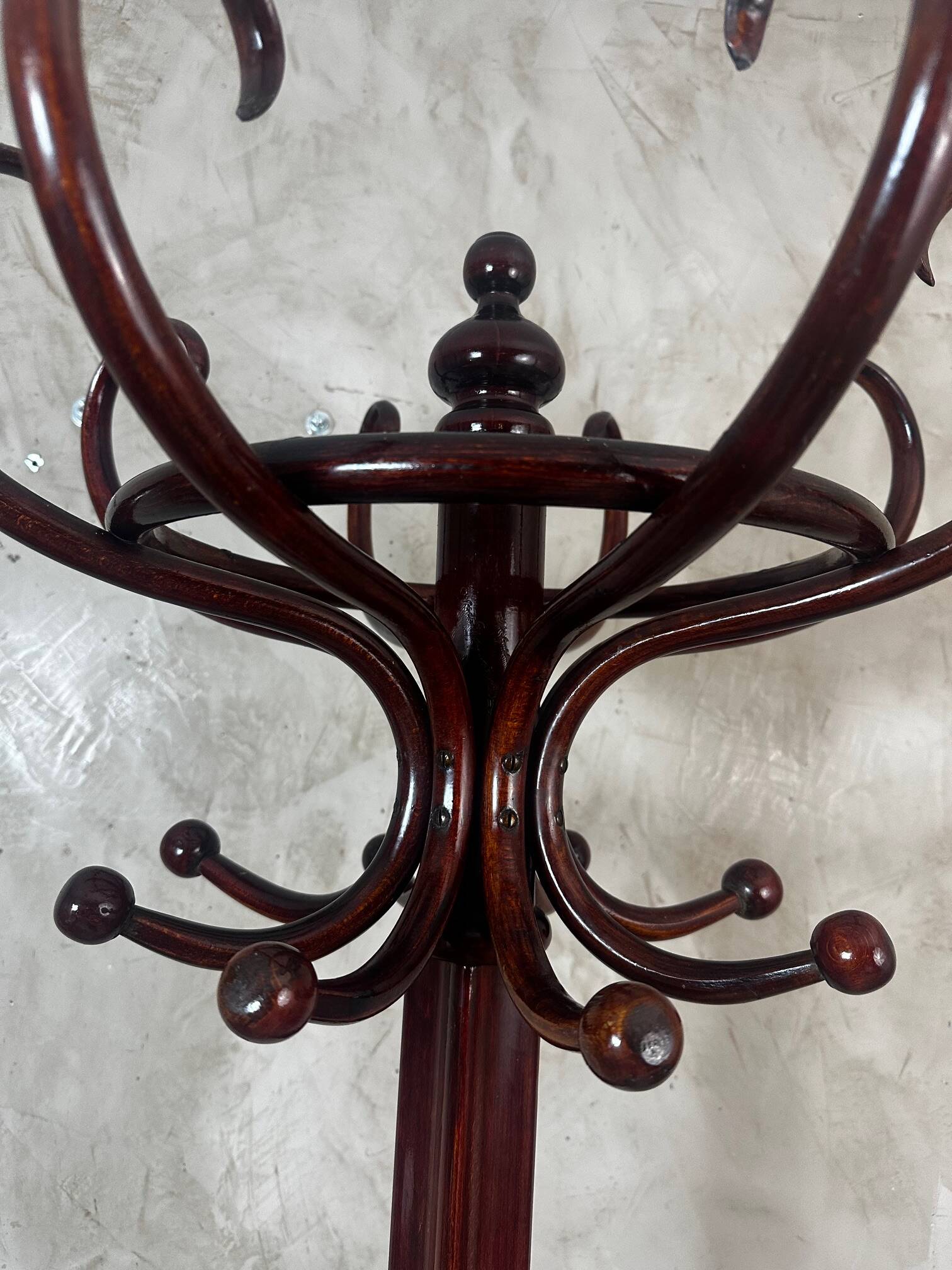 Parrot in the Thonet style