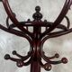 Parrot in the Thonet style