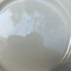 5 gien plates