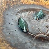 Danish Scandinavian bowl from the mid-century by Clara Helmich, 1960s.