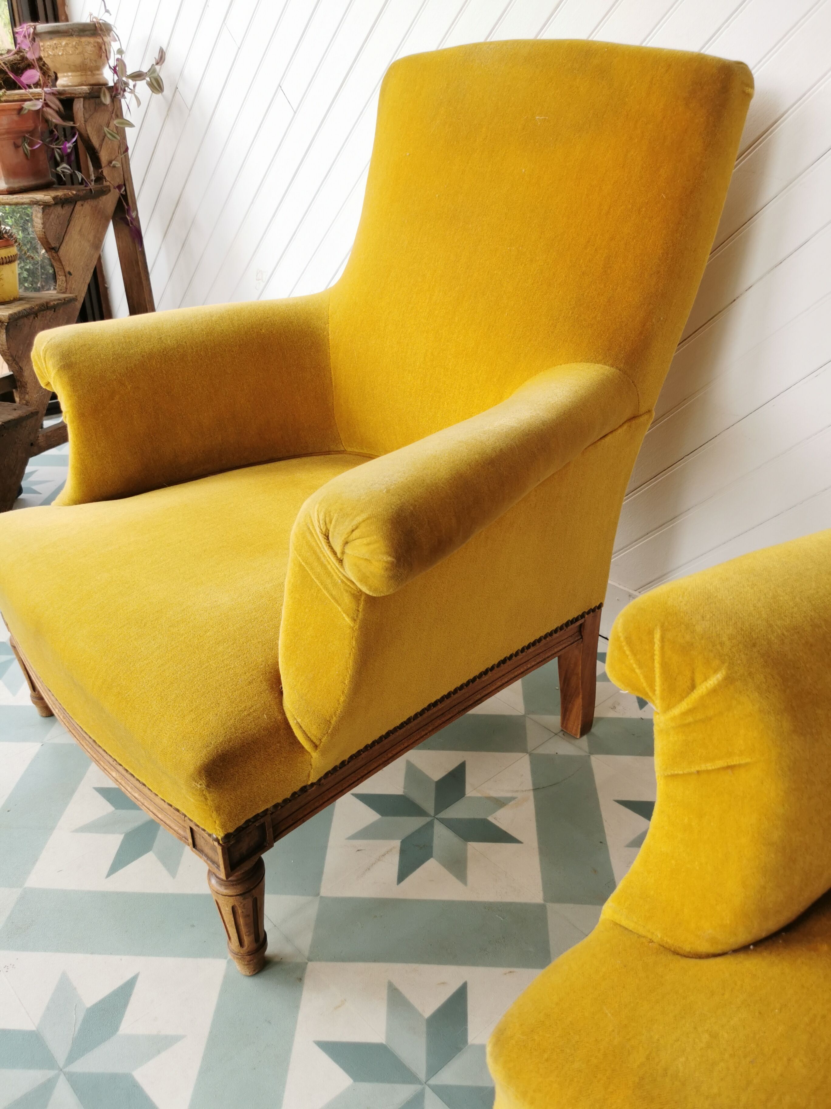Toad armchairs