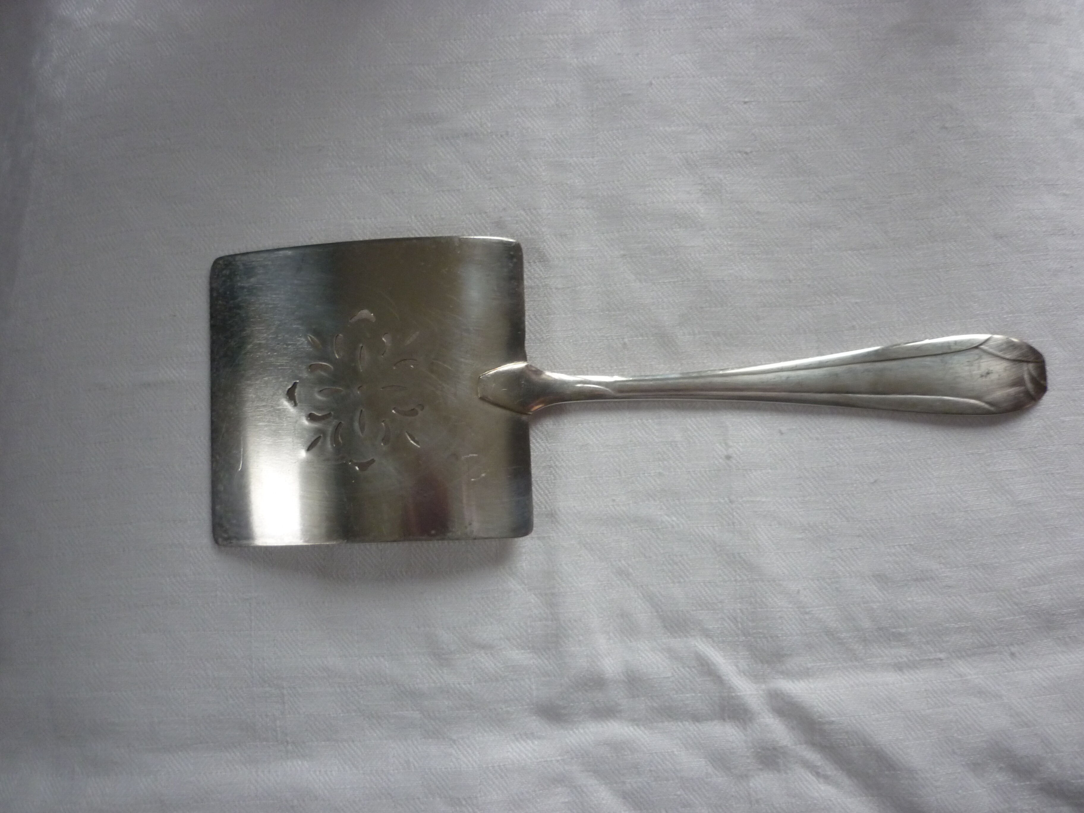 Asparagus pelle, silver metal gates