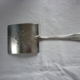 Asparagus pelle, silver metal gates