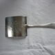 Asparagus pelle, silver metal gates