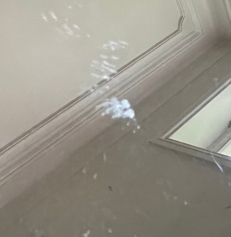 Gilded bronze mirror, 36x28 cm