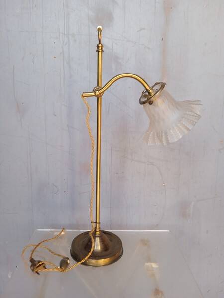 Tulip swan neck desk lamp in frosted glass
