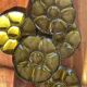 Set of 6 Gien oyster plates