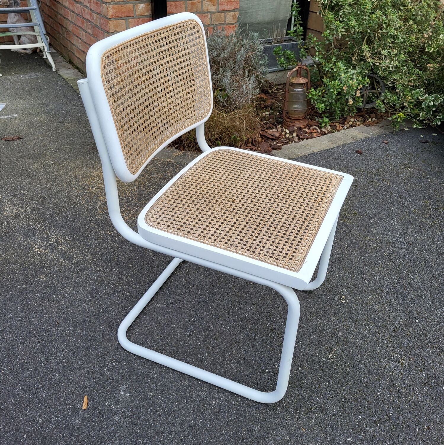 Chairs Cesca Marcel breuer
