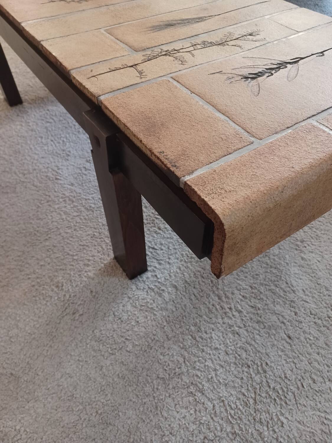 Vallauris herbarium coffee table by Roger Capron