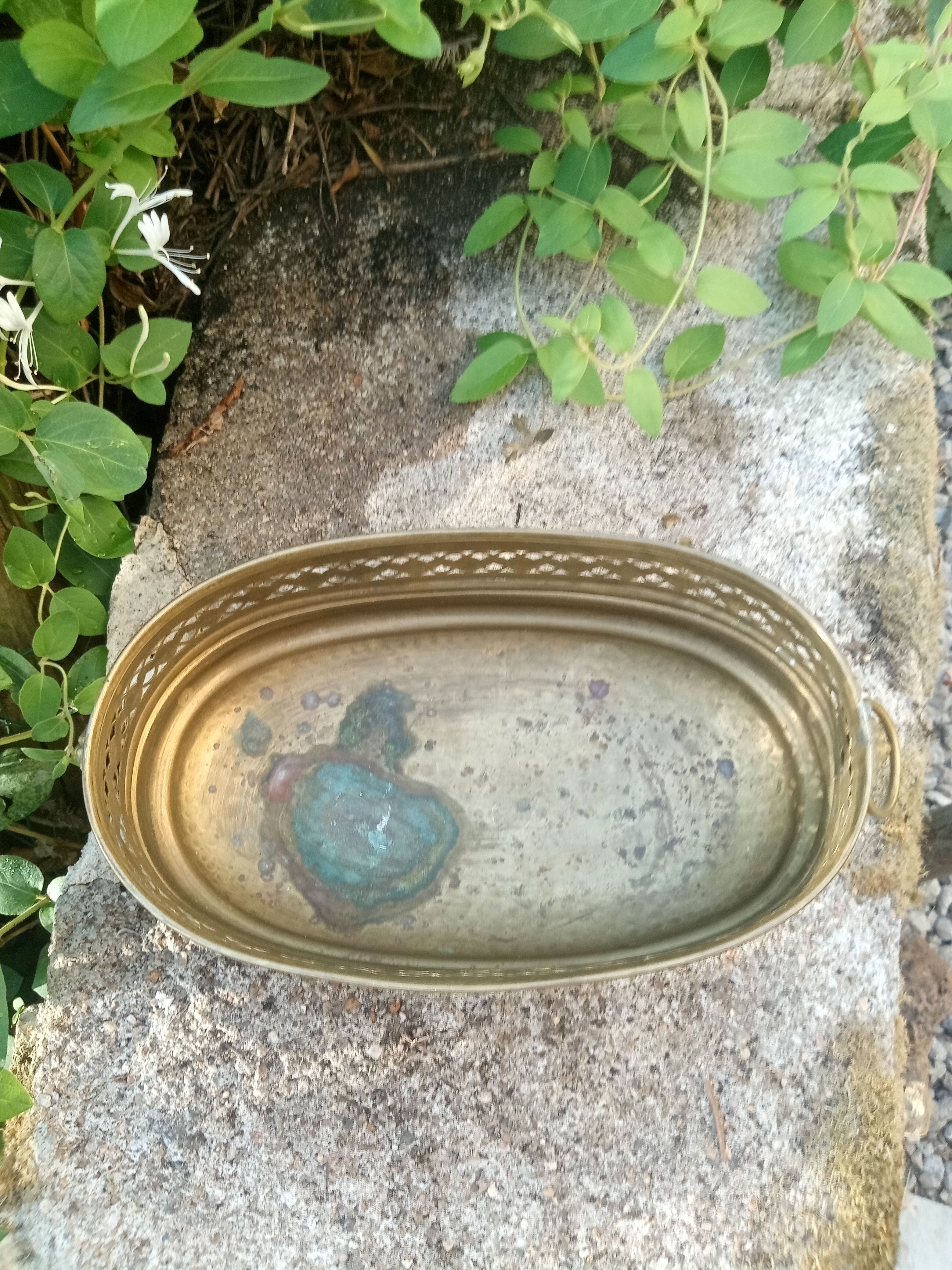 Large brass lion planter Art Nouveau