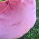 Vintage velvet pouf