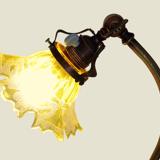 Lamp - foot in weighted brass Swungeneck adjustable with its acid-engraved crystal lampshade