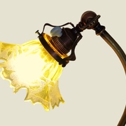 Lamp - foot in weighted brass Swungeneck adjustable with its acid-engraved crystal lampshade