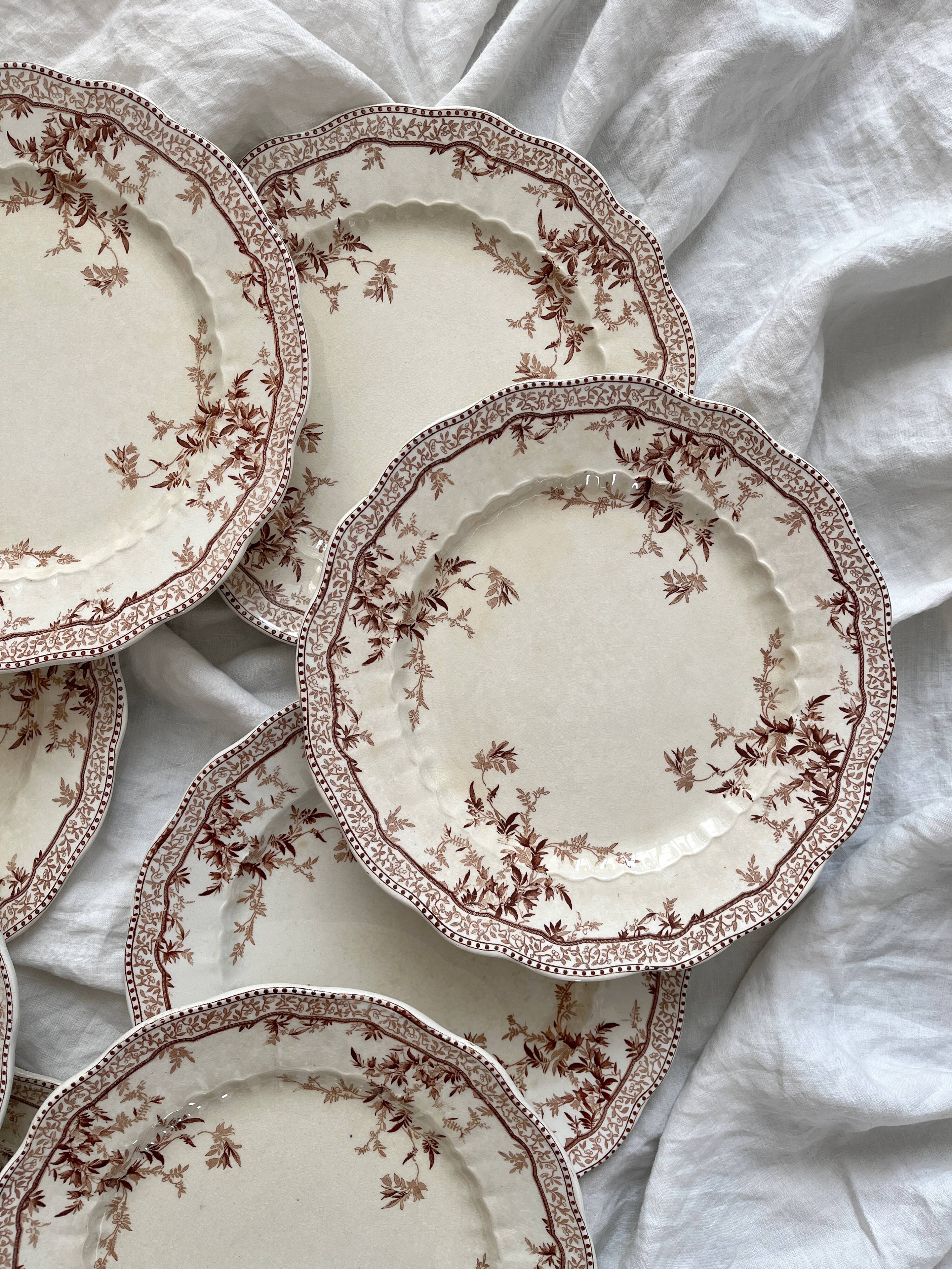 8 Ridgways England Royal Semi Porcelain "Eton" Ironstone Dinner Plates