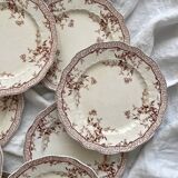 8 Ridgways England Royal Semi Porcelain "Eton" Ironstone Dinner Plates