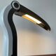 Toucan light in black and white H T Huang