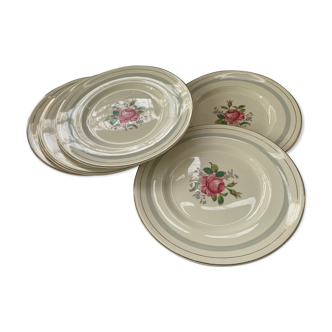 6 assiettes vintage Myott Staffordshire England roses