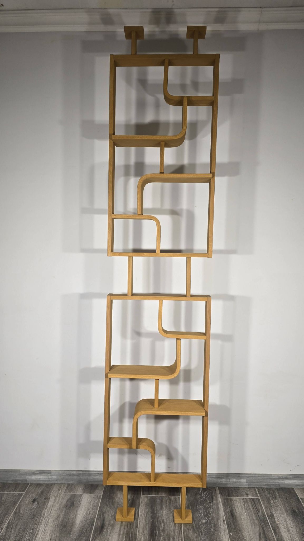 Room Divider by Ludvik Volak for Drevopodnik Holesov, 1950s