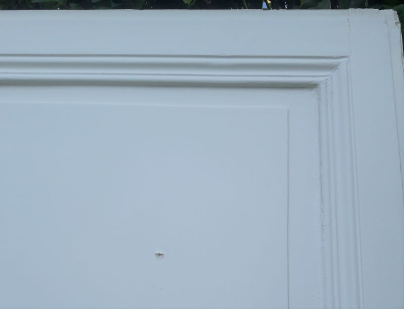 Door 209,5x76 Haussmannian