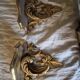 Pair of gilt wooden pedestals.