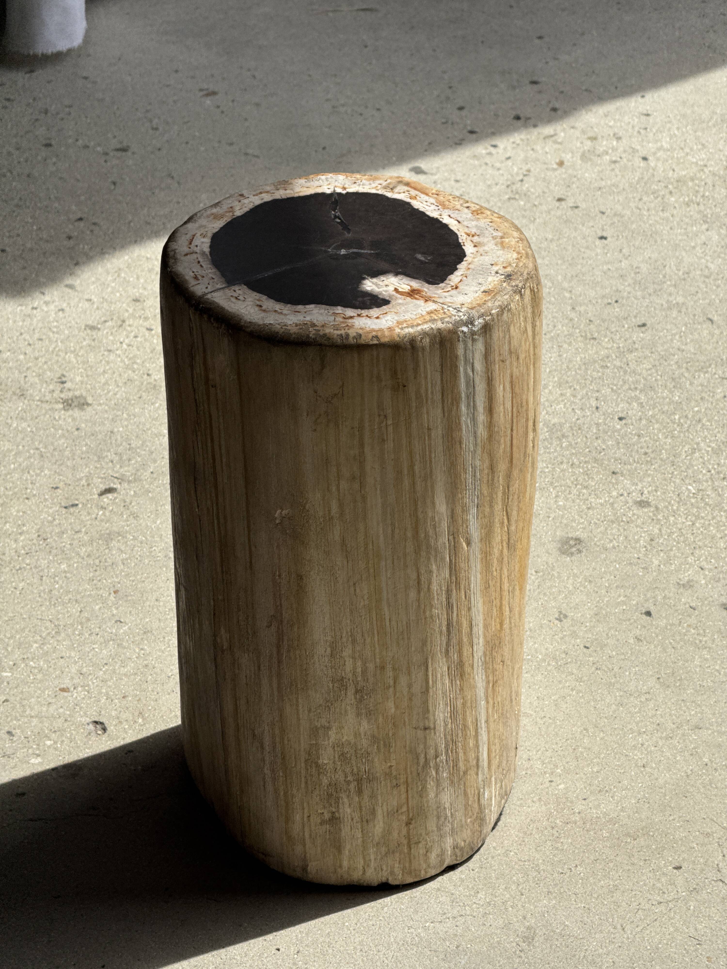 Table d'appoint en bois pétrifié, écorce blanche