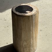 Petrified wood side table, white bark