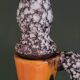 Carafe Vallauris 60's