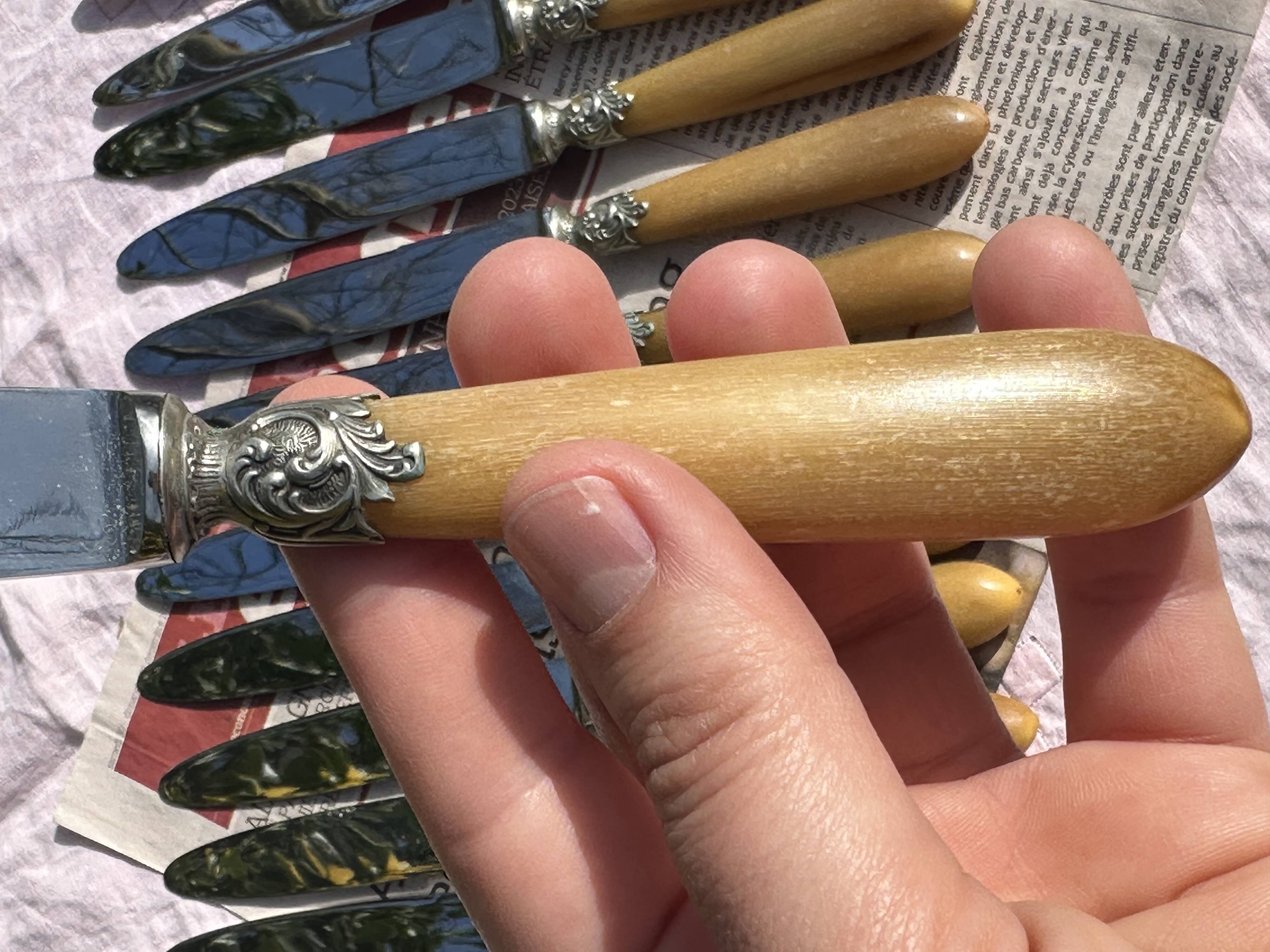 Set of 12 Antique Art Nouveau Table Knives - Tableware