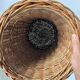 Vintage wicker umbrella stand