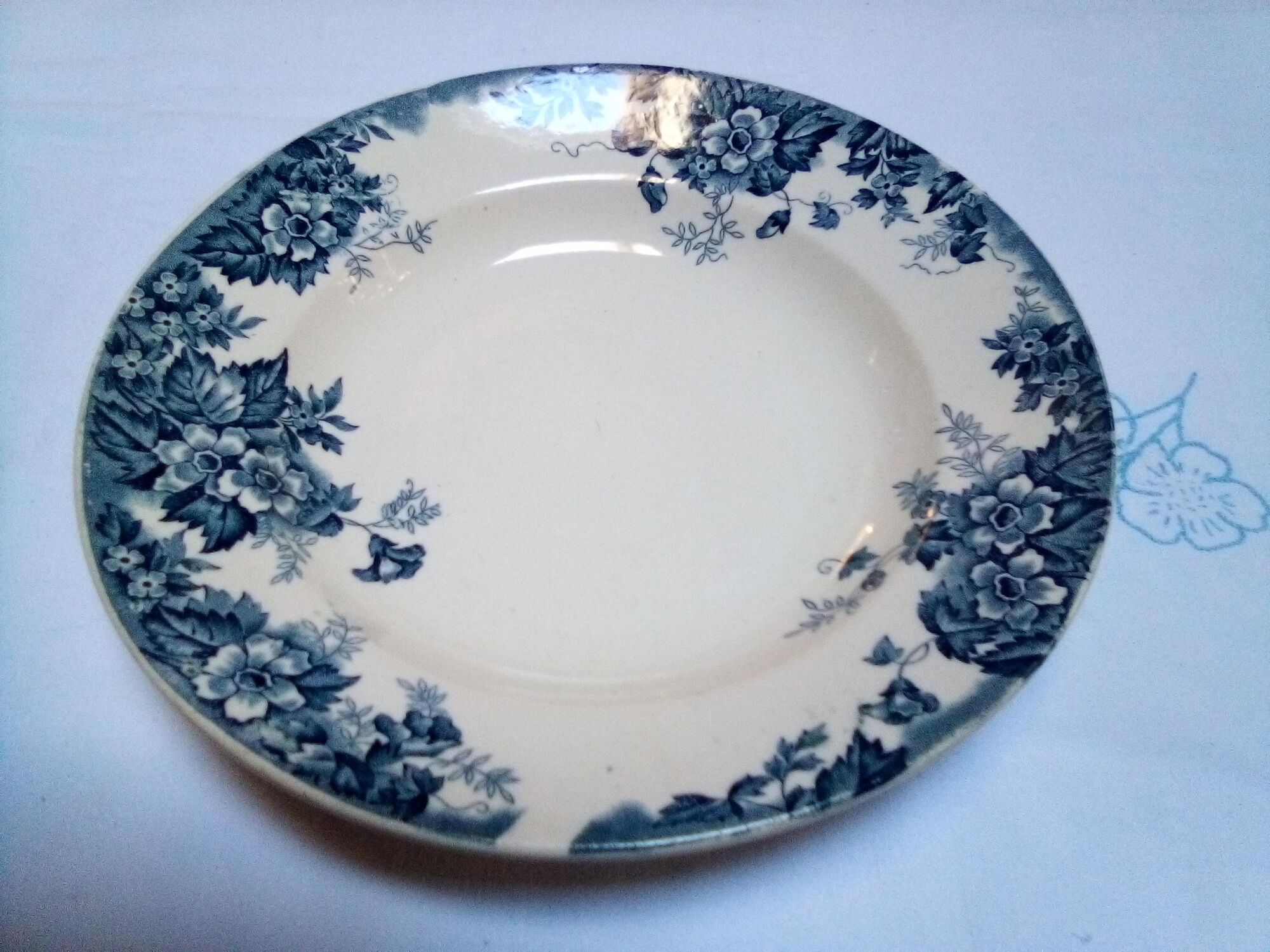 6 Marie Louise hollow plates / Hamage Wolf Mill