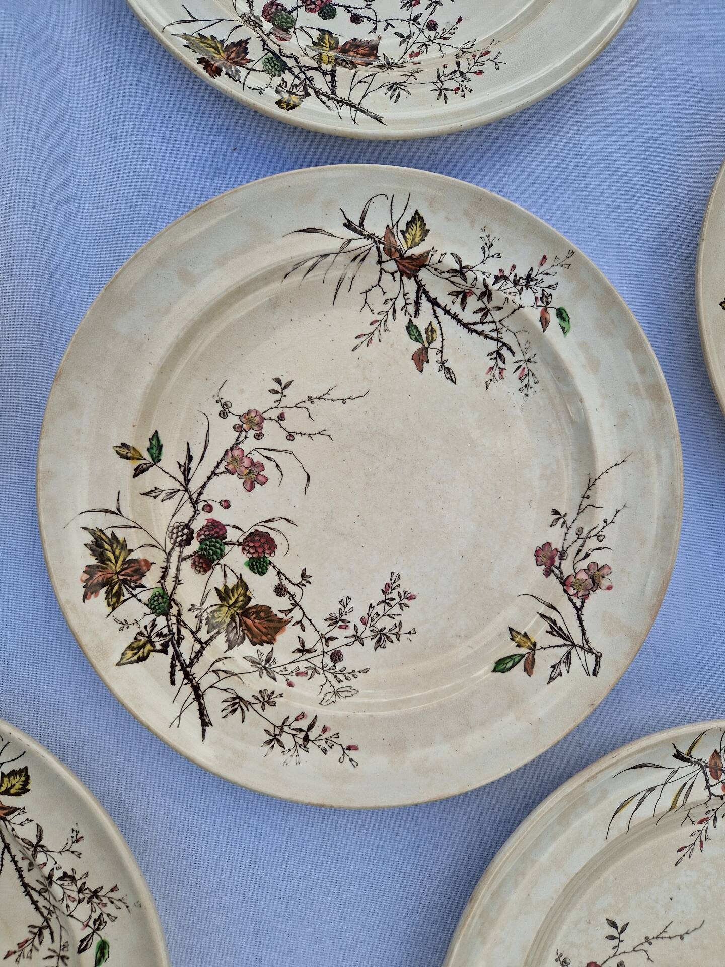 Set of 12 Terre De Fer Plates Manufacture Moore & Co Model Como