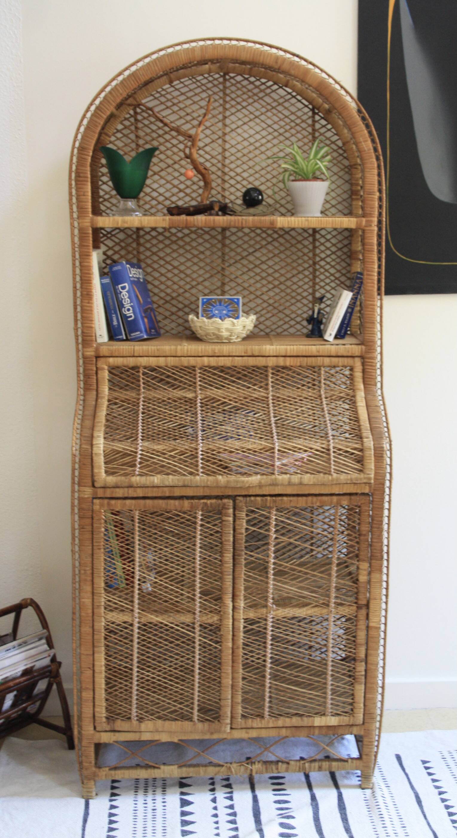 Rattan and woven wicker library