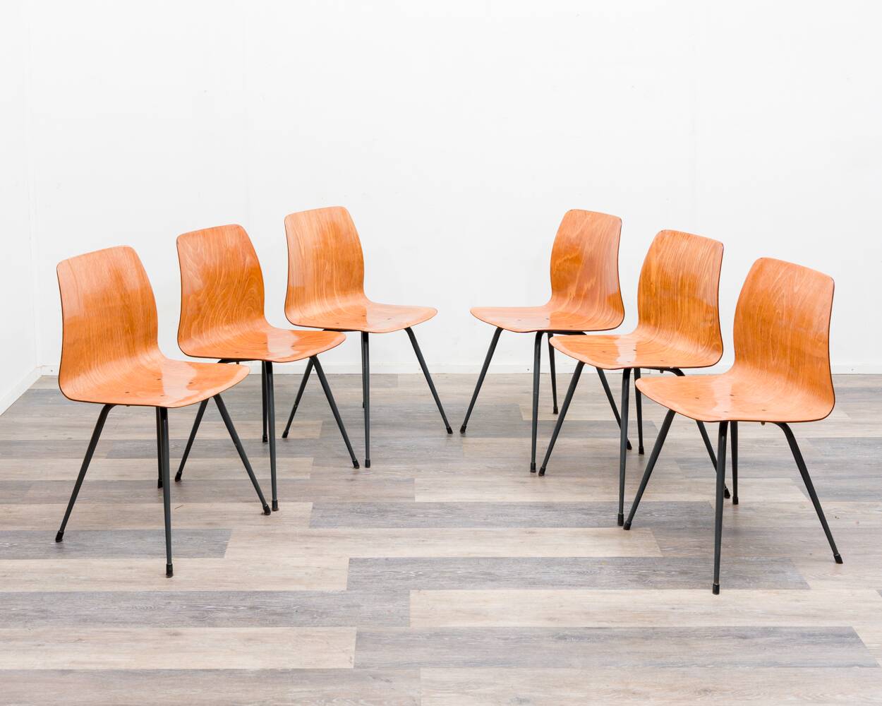 Set of 6 Pagholz chairs in a two-tone design, Pag Presswerke edition.